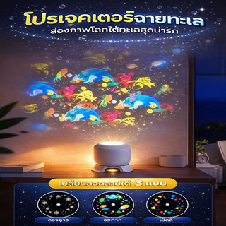 ไฟโปรเจคเตอร์ (ลายเกล็ดหิมะ/สัตว์ทะเล/ลายคริสต์มาส), โคมไฟข้างเตียง, ไฟประดับห้องนอน, ไฟประดับเทศกาล