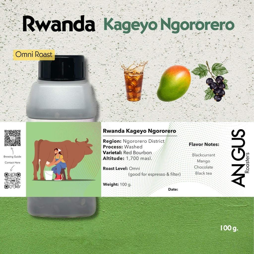Angus Coffee Roasters เมล็ดกาแฟคั่วอ่อน Omni - Rwanda Kageyo Ngororero ...