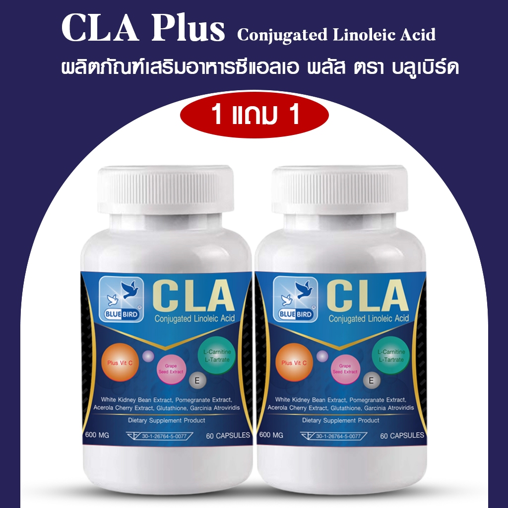 l carnitina fertilidade masculina Acetil L Carnitina 500mg + Zingo + Associaes 60 DosesI Composio  Fertilidade Homem | Comprar Online