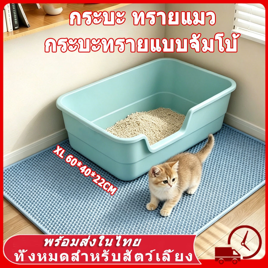 ห้องน้ำแมว ใหญ่ กระบะทรายแมว พื้นที่มากมาย