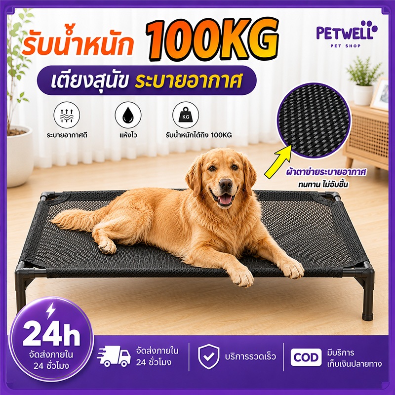 PETWELL เตียงสัตว์เลี้ยง ที่นอนแมว รับน้ำหนักดี