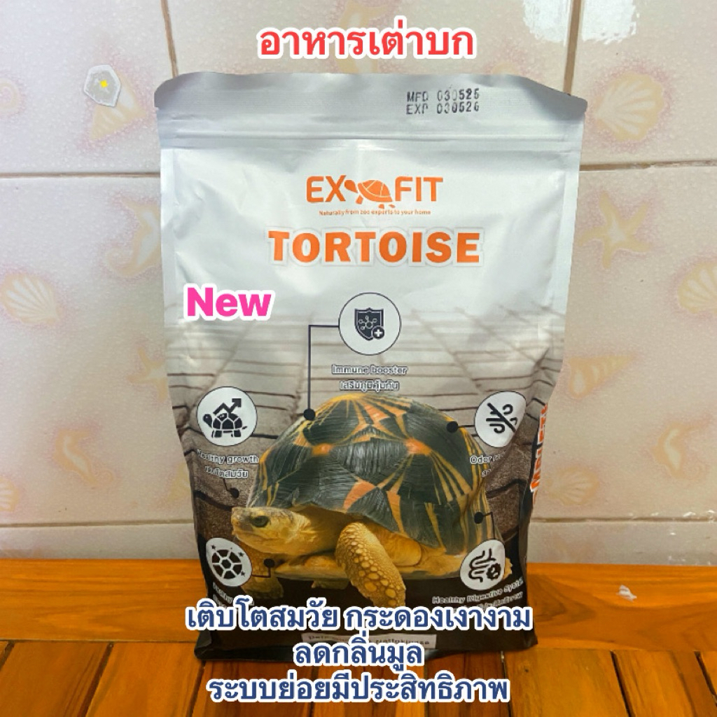 สินค้าใหม่ อาหารเต่าบก EXOFIT TORTOISE | Shopee Thailand