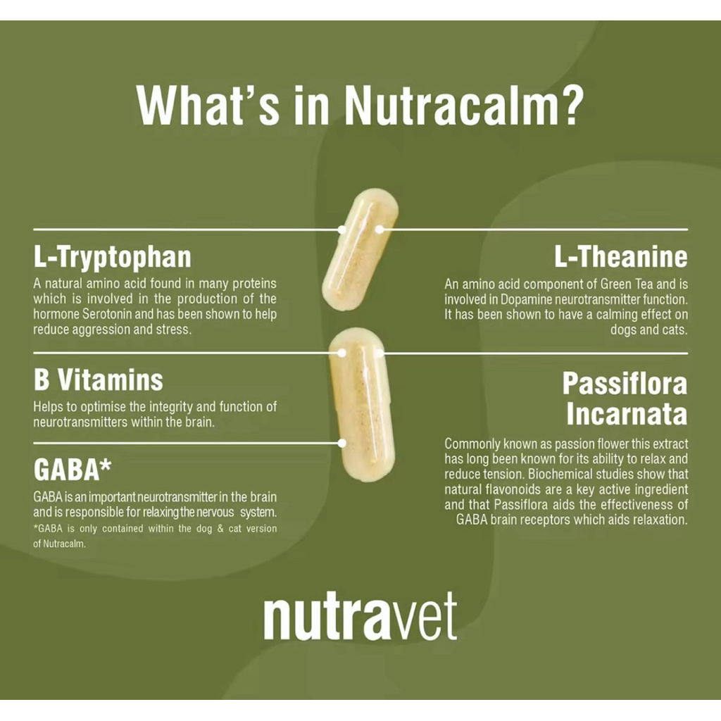 Nutravet อาหารเสริมสุนัข-แมว Nutracys (นิ่ว) , Nutraren (ไต ...