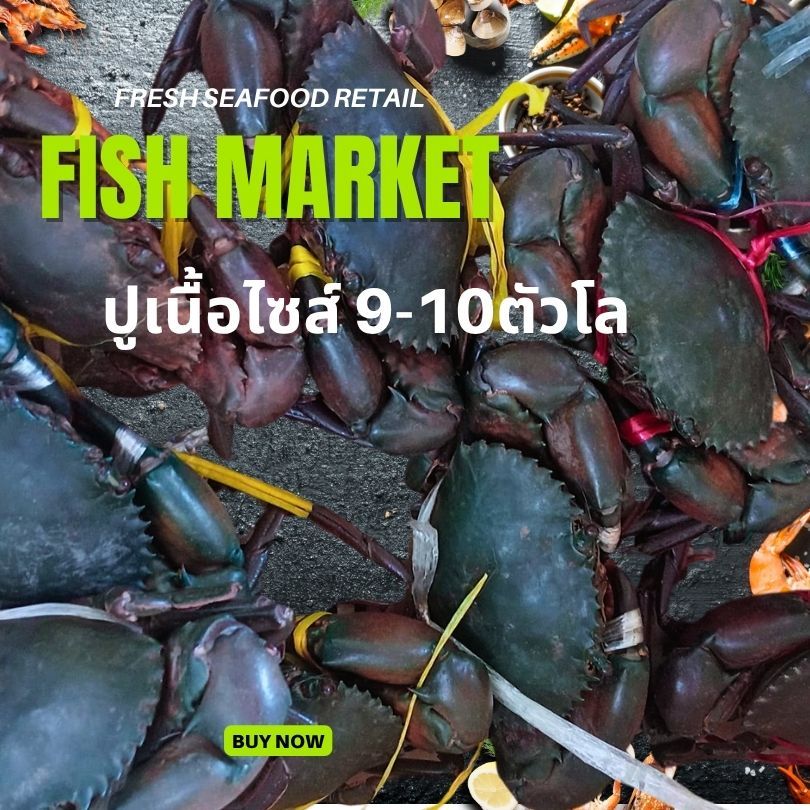 ปูดำทะเล คัดเนื้อแน่นๆไซส์ 9-10 ตัวโล ปูธรรมชาติ | Shopee Thailand