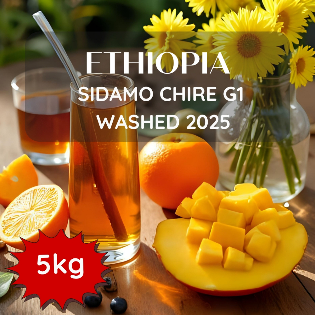 สารเมล็ดกาแฟ Ethiopia Sidamo Chire G1 washed 2025 ขนาด 5kg | Shopee ...