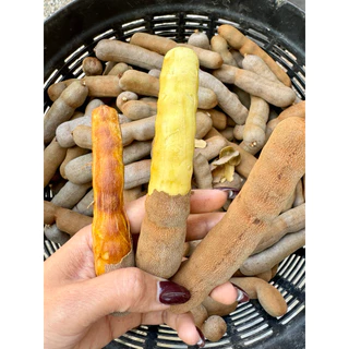 1 ปีมีครั้งเดียว คัดทุกฝัก มะขามหวานหมู (สีชมพู) หวานกรอบ ตัดสดส่งจากสวน มะขามหวานเพชรบูรณ์ photo