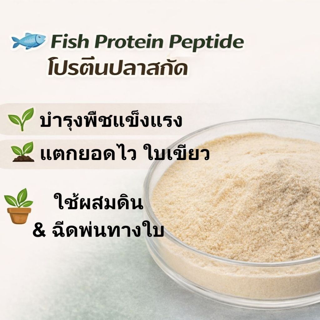Fish Protein Peptide ปุ๋ยปลารูปแบบผง (100 g)| ปุ๋ยอินทรีย์สำหรับผักใบ ...