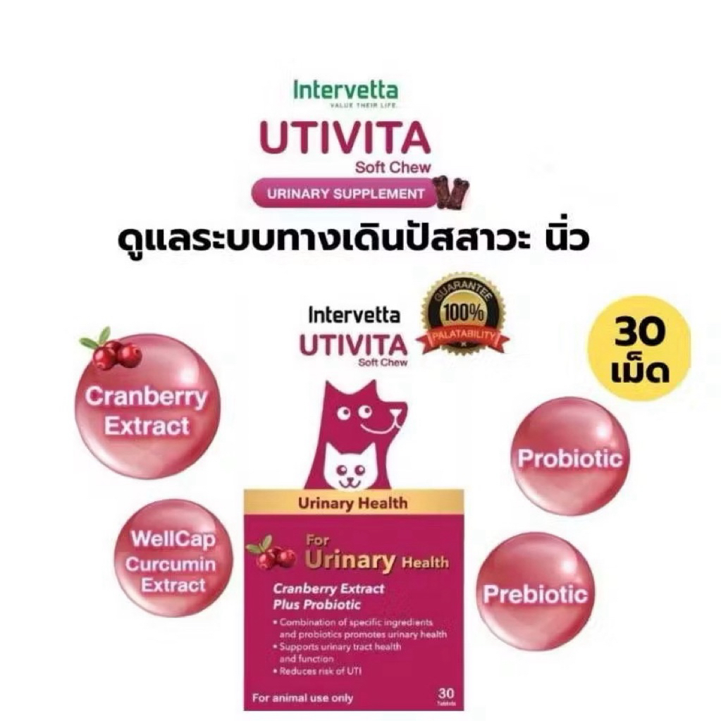 Intervetta UTIVITA Soft Chew -วิตามินเสริมอาหารสำหรับระบบทางเดินปัสสาวะ ...