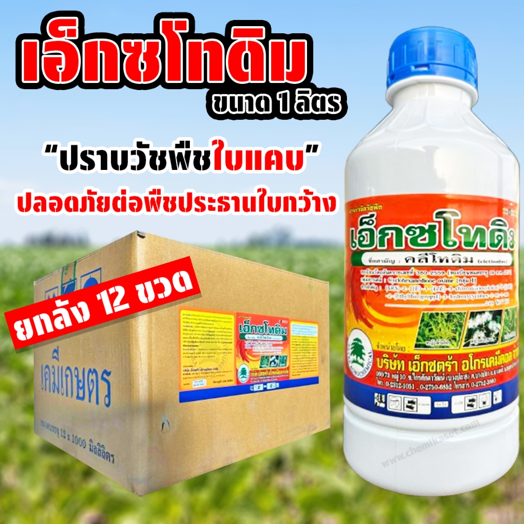 (ยกลัง12ขวด) เอ็กซโทดิม ขนาด 1 ลิตร สารคลีโทดิม กำจัดหญ้าใบแคบ เพื่อไร่ ...