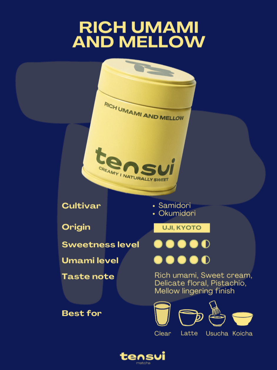Rich Umami and Mellow Ceremonial Matcha 30g ผงชาเขียวมัทฉะเกรดพิธีการ ...