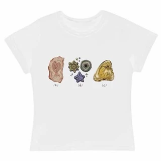 VGH FOSSIL BABY TEE - WHITE