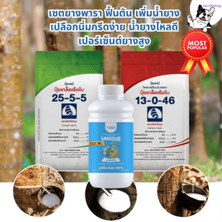 Bộ tăng tốc mủ, nuôi dưỡng bề mặt mủ, giúp phục hồi cây, tạo lớp vỏ mới nhanh chóng, vỏ mềm, dễ gằn, tăng lượng mủ