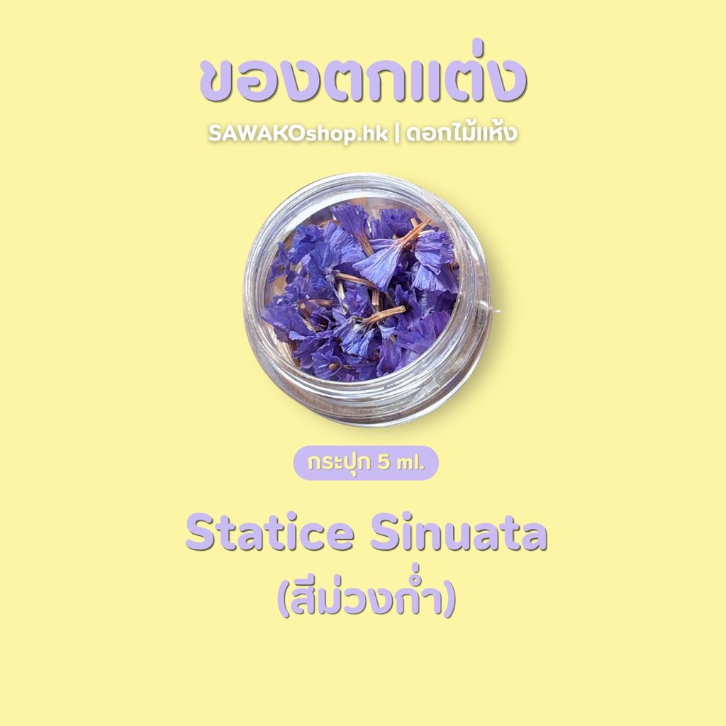 SAWAKOshop.hk | ของตกแต่ง | ดอกไม้แห้ง Statice Sinuata สแตติส ซินูเอตัม ...