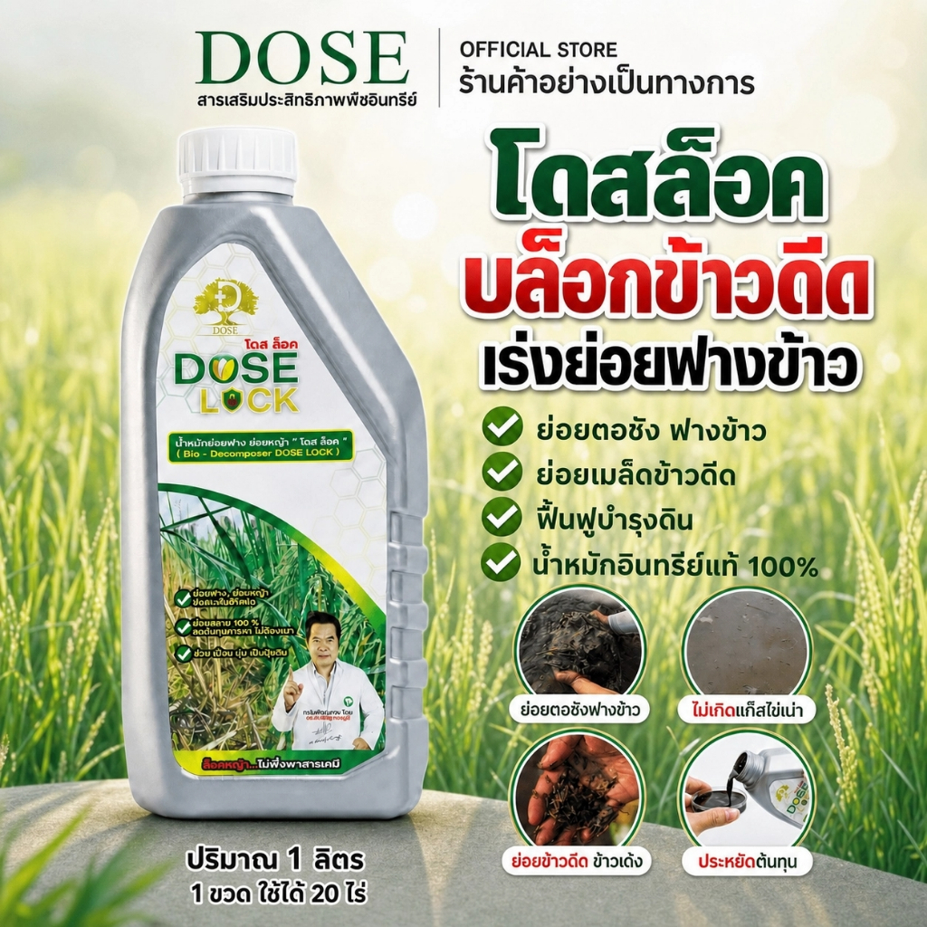 กำจัดข้าวดีด ย่อยฟางข้าว (โดสล็อค) น้ำหมักอินทรีย์ลดข้าวดีด พร้อมบำรุงดิน ทำให้รากหาอาหารดีลดต้นทุนปุ๋ย