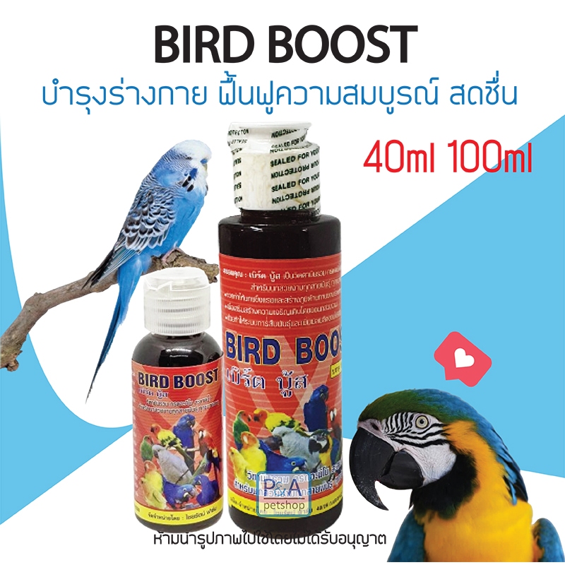 พร้อมส่ง!! วิตามินนก Bird Boost วิตามินรวม สำหรับนกทุกสายพันธุ์ [ 100ml]