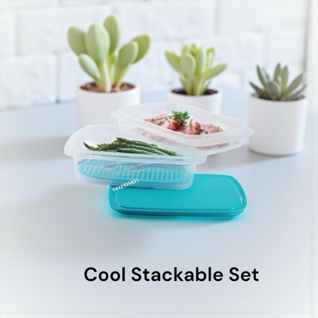 กล่องใส่อาหารสดแช่แข็งได้ Tupperware รุ่น Cool Stackable Set | Shopee ...