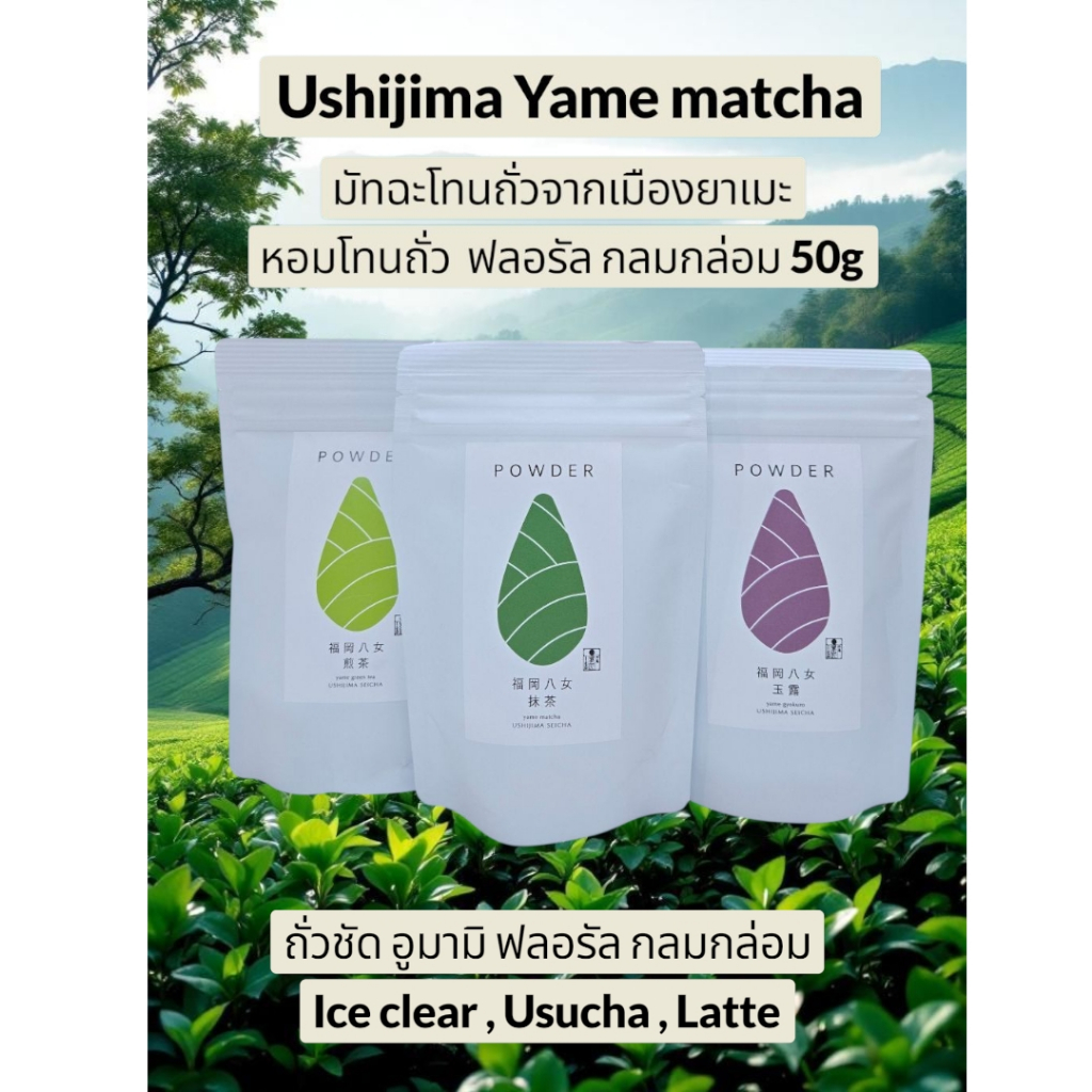 Ushijima Yame Matcha และ Gyokuro powder ตัวนี้หอมชามาก โดยเฉพาะสายลาเต้ ...