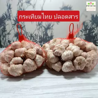 กระเทียมไทย สดใหม่ ปลอดสาร ปลูกที่อ.ขุนยวม จ.แม่ฮ่องสอน ขนาด 1 กิโล ราคา 110 บาท/ ครึ่งกิโล 60 บาท photo