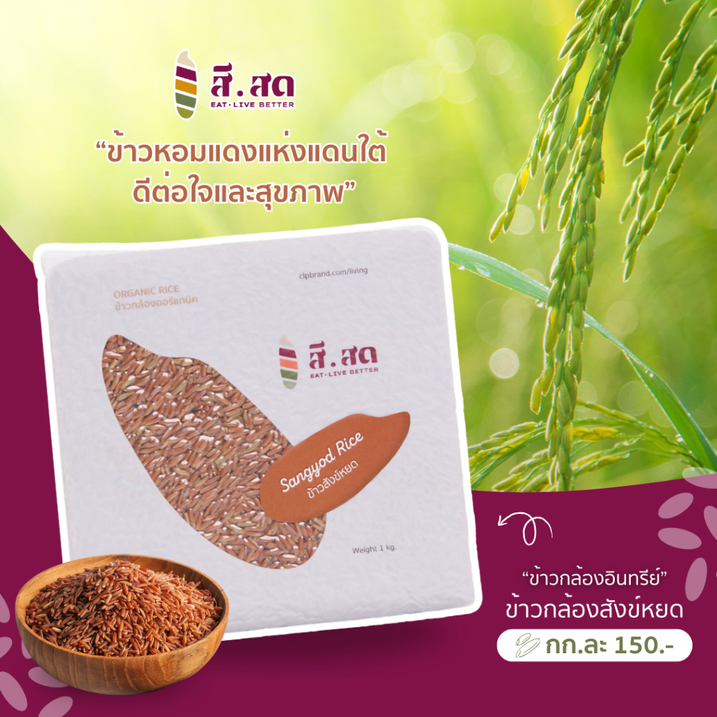 Sisod (สีสด), ร้านค้าออนไลน์ | Shopee Thailand