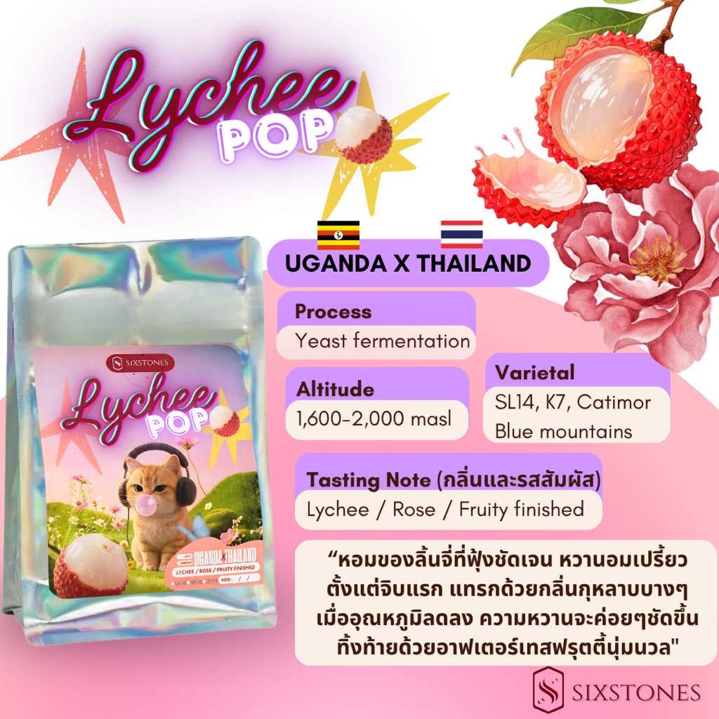 [NEW] Lychee pop เมล็ดกาแฟคั่วเบลนด์ Yeasted fermentation เมล็ดกาแฟคั่ว ...