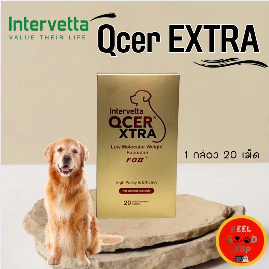 ( ใหม่) Intervetta QCER Extra (ยกกล่อง/บรรจุ20เม็ด หมดอายุ 03/2027 ...