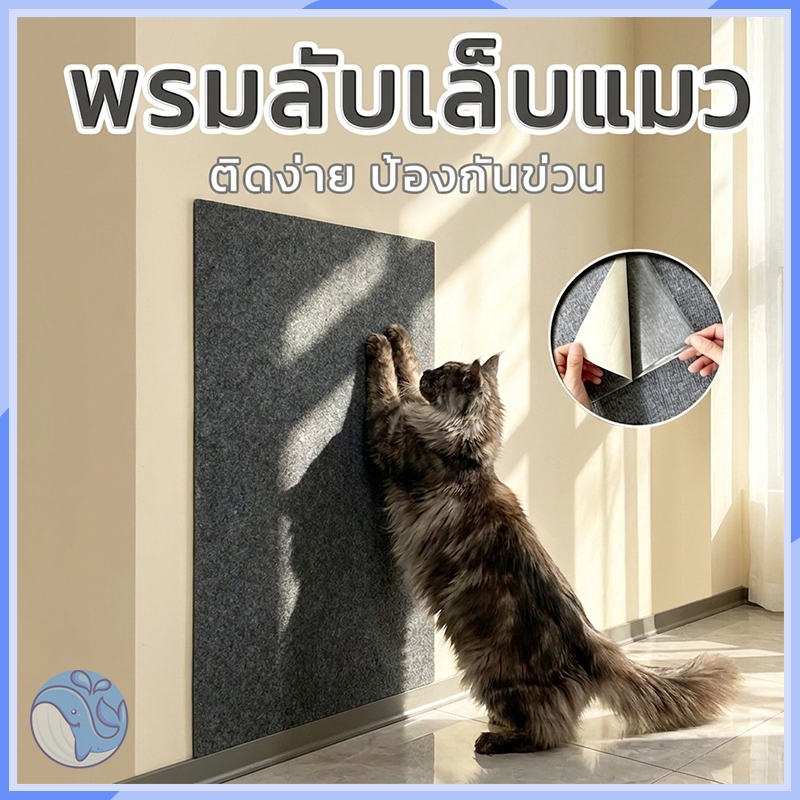 พรมลับเล็บแมวติดผนัง มีกาวในตัว