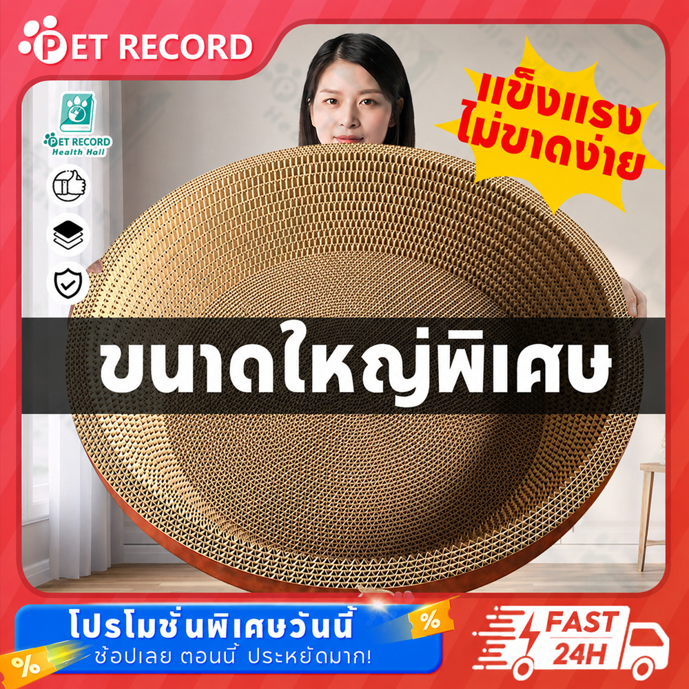 อ่างลับเล็บแมว รุ่นมินิมอล ขนาดใหญ่ เป็นที่นอนแมว