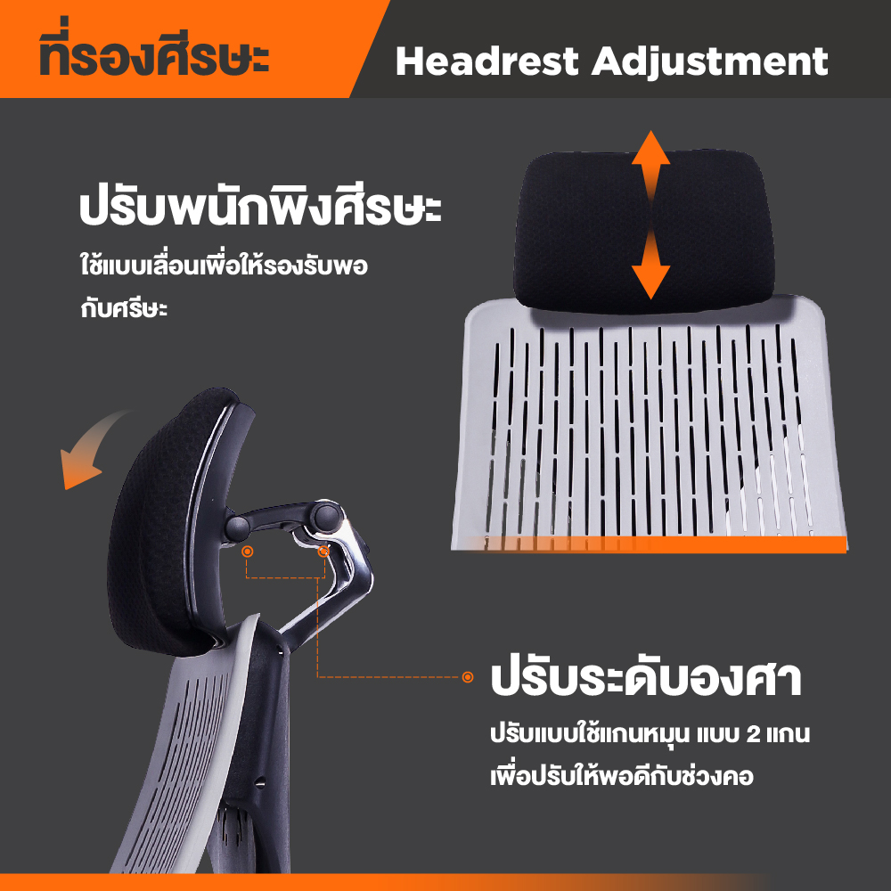 Ergotrend เก้าอี้เพื่อสุขภาพ เออร์โกเทรน รุ่น Truly เก้าอี้สีดำ ระบายอากาศดีเยี่ยม นุ่มสบาย ตามหลักสรีระศาสตร์ Ergonomic เก้าอี้พนักพิงสูง ลดอาการปวดเมื่อย เกรดคุณภาพ