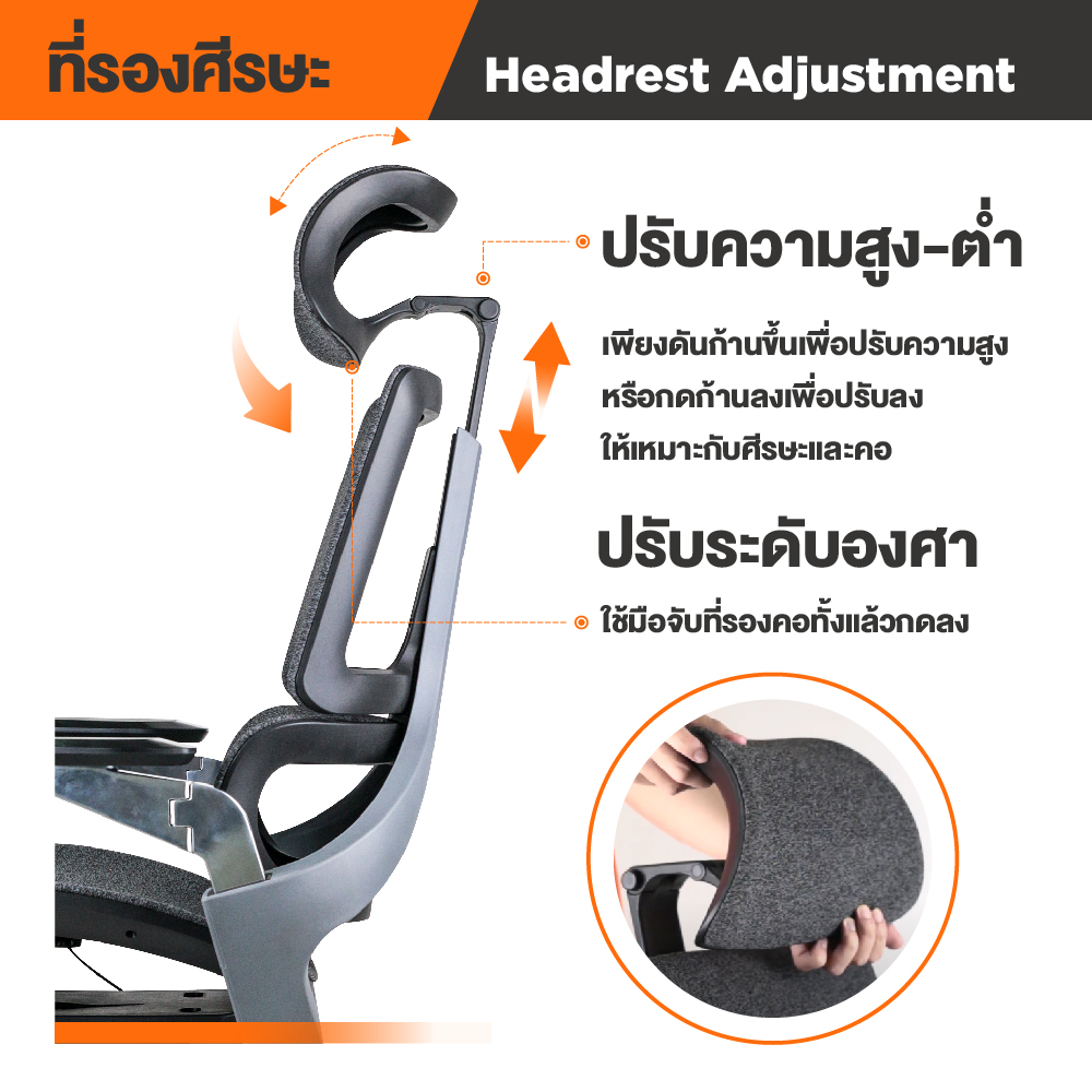 Ergotrend เก้าอี้เพื่อสุขภาพเออร์โกเทรน รุ่น Beyond เก้าอี้สีดำ ระบายอากาศดีเยี่ยม นุ่มสบาย ตามหลักสรีระศาสตร์ Ergonomic เก้าอี้พนักพิงสูง ลดอาการปวดเมื่อย เกรดพรีเมี่ยม