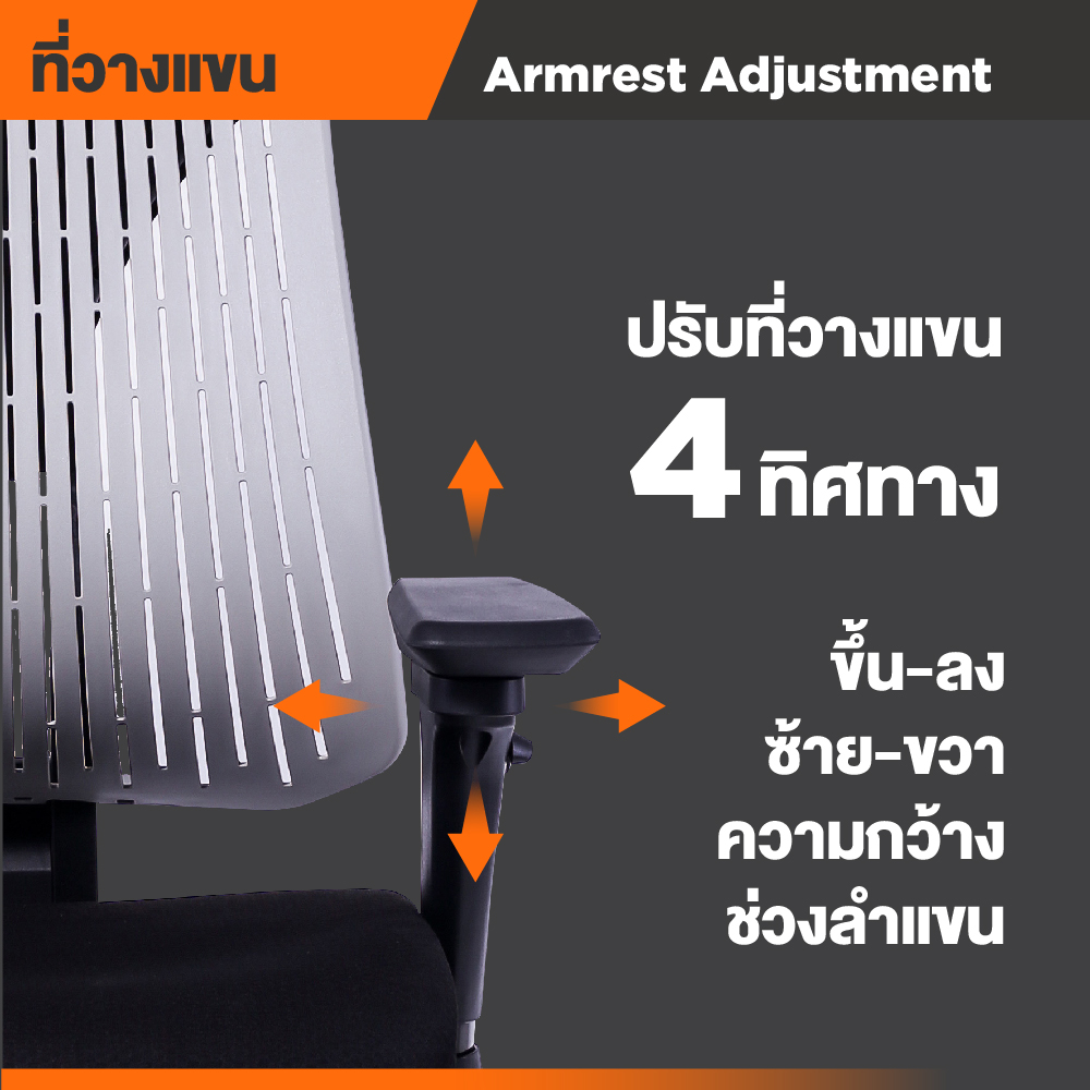 Ergotrend เก้าอี้เพื่อสุขภาพ เออร์โกเทรน รุ่น Truly เก้าอี้สีดำ ระบายอากาศดีเยี่ยม นุ่มสบาย ตามหลักสรีระศาสตร์ Ergonomic เก้าอี้พนักพิงสูง ลดอาการปวดเมื่อย เกรดคุณภาพ