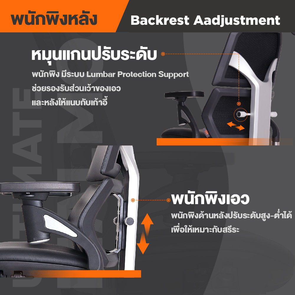 Ergotrend เก้าอี้เพื่อสุขภาพ เออร์โกเทรน รุ่น Ultimate Malmo เก้าอี้สีดำ ระบายอากาศดีเยี่ยม นุ่มสบาย ตามหลักสรีระศาสตร์ Ergonomic เก้าอี้พนักพิงสูง ลดอาการปวดเมื่อย เกรดคุณภาพ