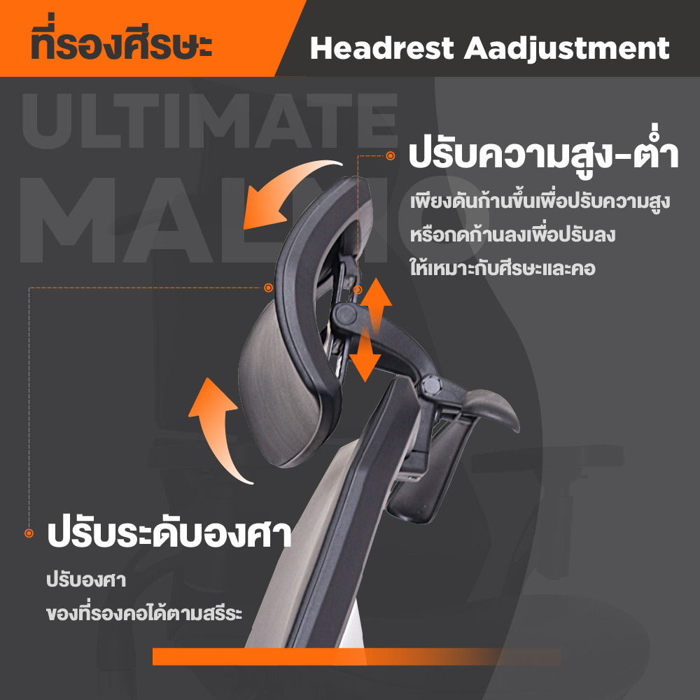 Ergotrend เก้าอี้เพื่อสุขภาพ เออร์โกเทรน รุ่น Ultimate Malmo เก้าอี้สีดำ ระบายอากาศดีเยี่ยม นุ่มสบาย ตามหลักสรีระศาสตร์ Ergonomic เก้าอี้พนักพิงสูง ลดอาการปวดเมื่อย เกรดคุณภาพ