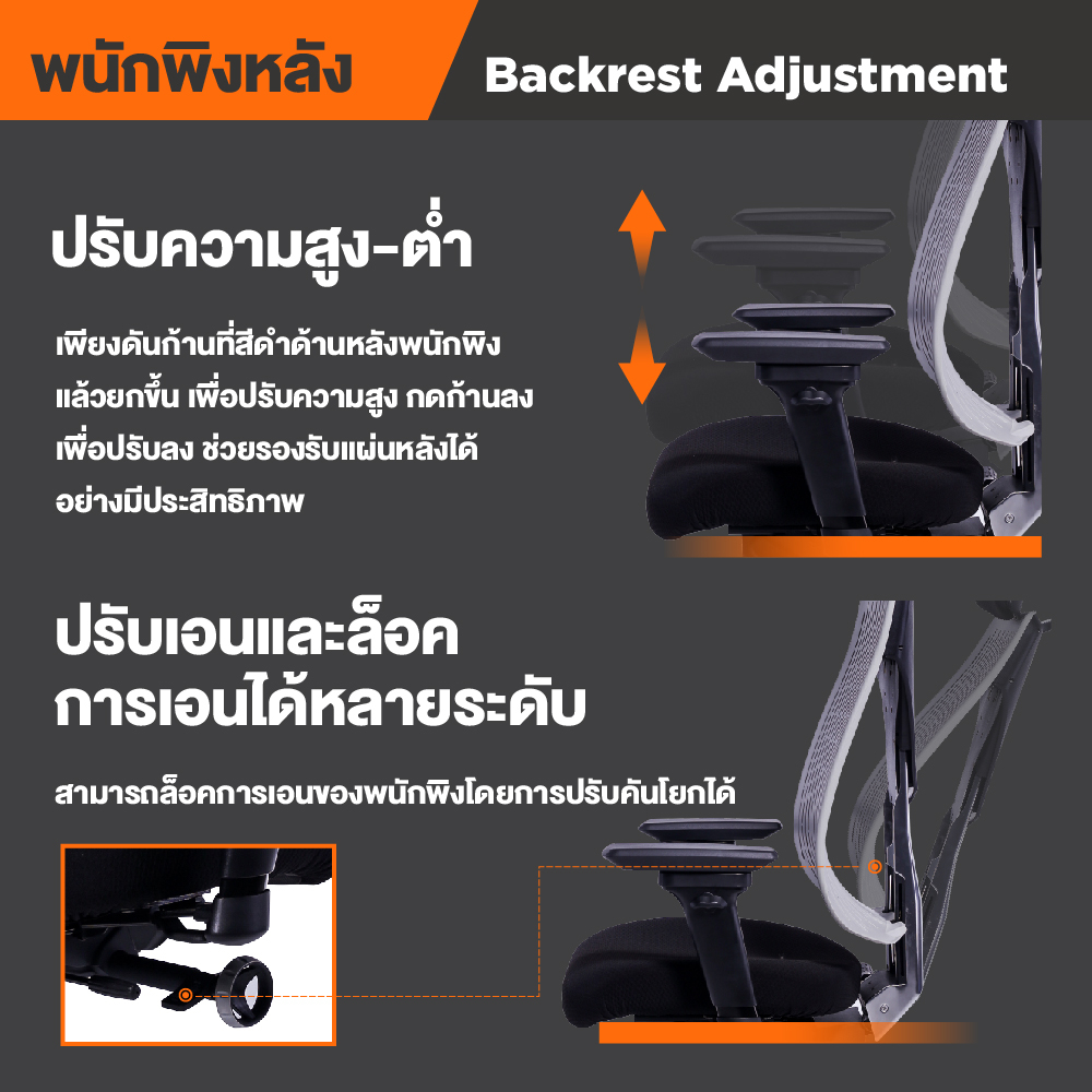 Ergotrend เก้าอี้เพื่อสุขภาพ เออร์โกเทรน รุ่น Truly เก้าอี้สีดำ ระบายอากาศดีเยี่ยม นุ่มสบาย ตามหลักสรีระศาสตร์ Ergonomic เก้าอี้พนักพิงสูง ลดอาการปวดเมื่อย เกรดคุณภาพ