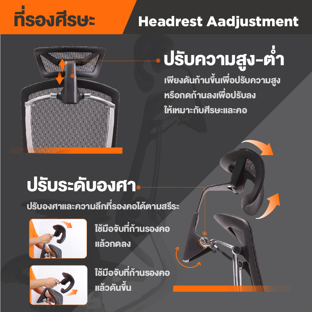Ergotrend เก้าอี้เพื่อสุขภาพเออร์โกเทรน รุ่น Oster สีดำ เก้าอี้สีดำ ระบายอากาศดีเยี่ยม นุ่มสบาย ตามหลักสรีระศาสตร์ Ergonomic รองรับน้ำหนักได้สูงสุด 150 กก. ลดอาการปวดเมื่อย เกรดพรีเมี่ยม