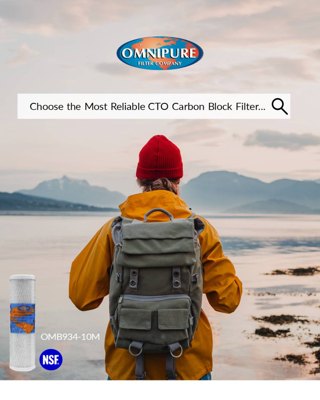 OMNIPURE USA CTO OMB934-10M Coconut & Post Carbon CL10RO T/33 ชุดไส้ ...
