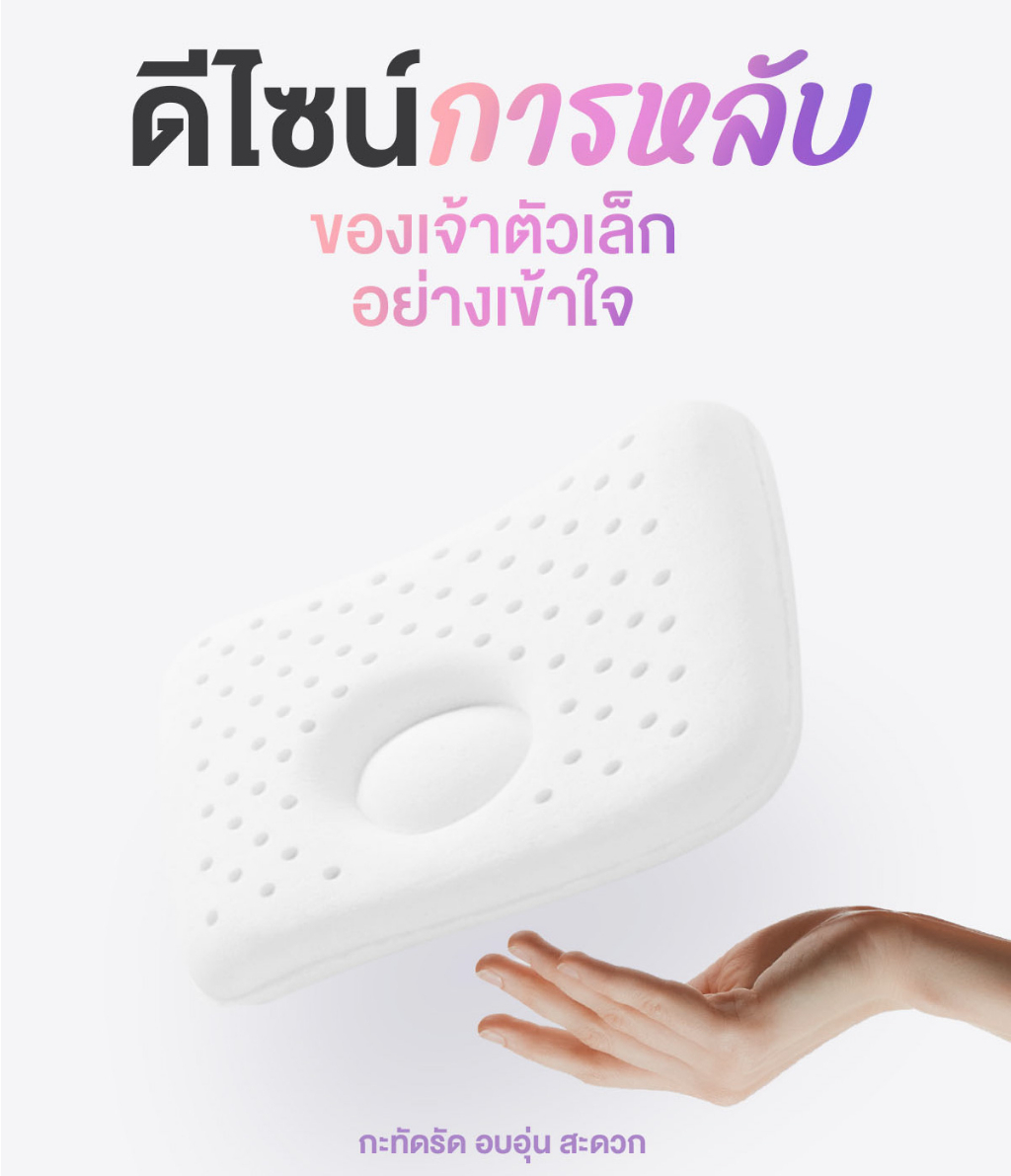 ภาพประกอบคำอธิบาย SiamLatex Baby Pillows หมอนหลุม หมอนหัวทุย  หมอนยางพาราทารก กันไรฝุ่น แถมฟรี ปลอกผ้าลายการ์ตูน