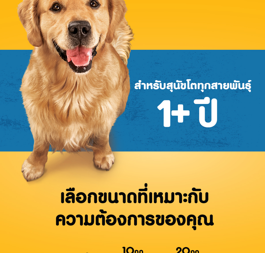 ภาพประกอบของ อาหารสุนัขโต PEDIGREE 10 กก. - โภชนาการครบถ้วนสำหรับสุนัขอายุ 1 ปีขึ้นไปเพื่อสุขภาพที่ดีและมีความสุข