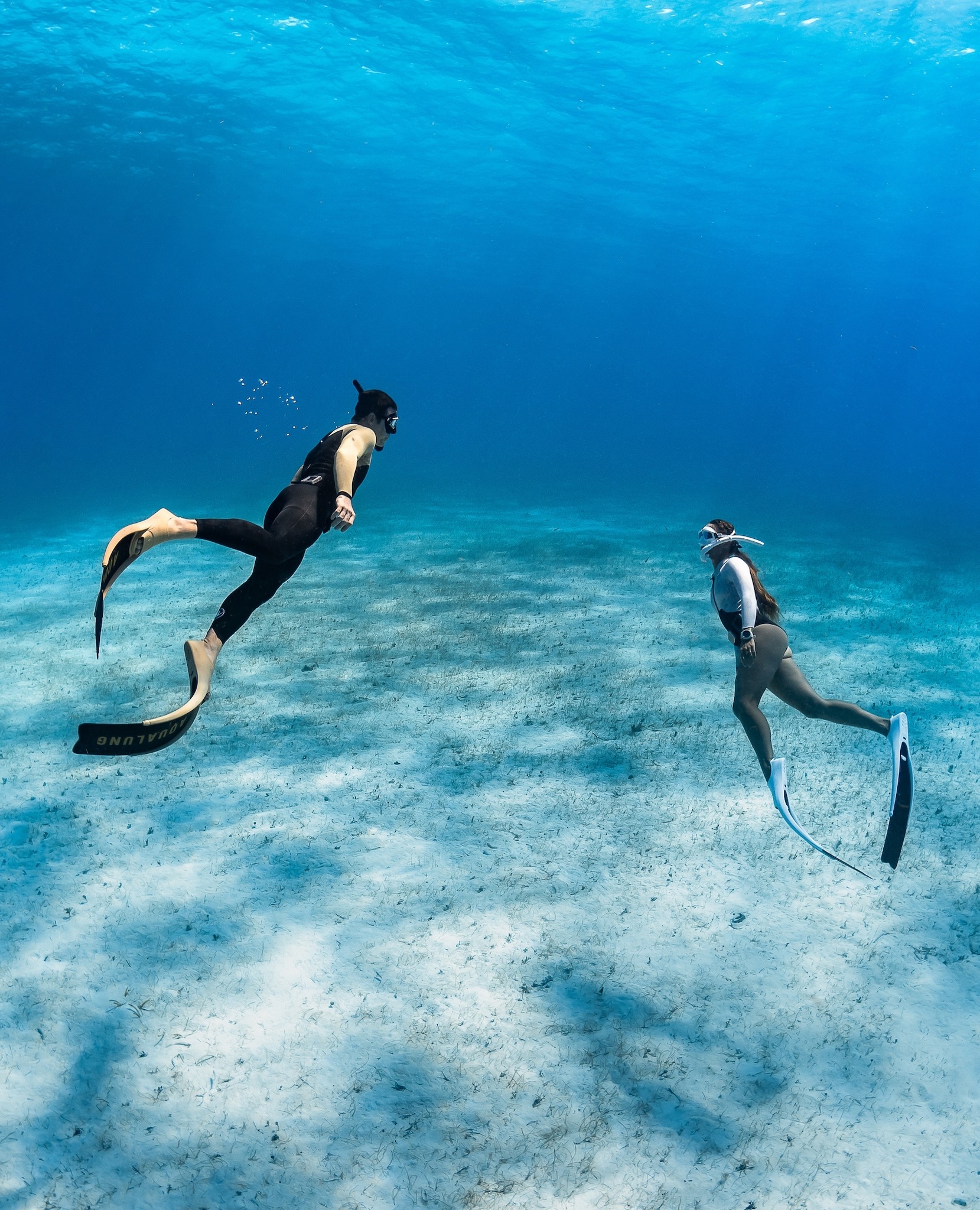 Aqualung Cyclone X Freediving Fins - ครีบดำน้ำ ฟินฟรีไดฟ์ รุ่น Cyclone ...