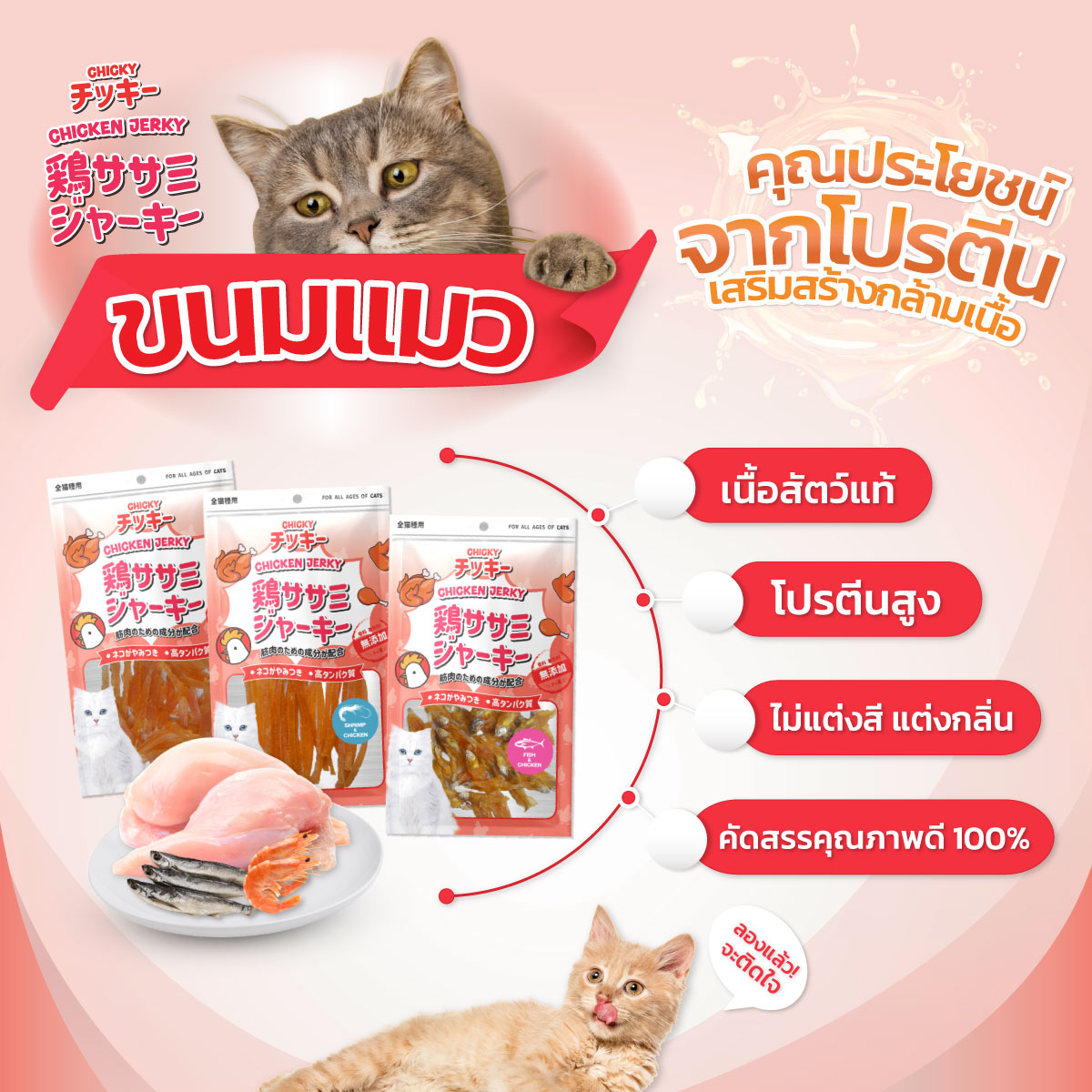 Chicky 30-45 กรัม ขนมแมว อาหารแมว อาหารสัตว์เลี้ยง มีหลายรส ปลาแท้ ...