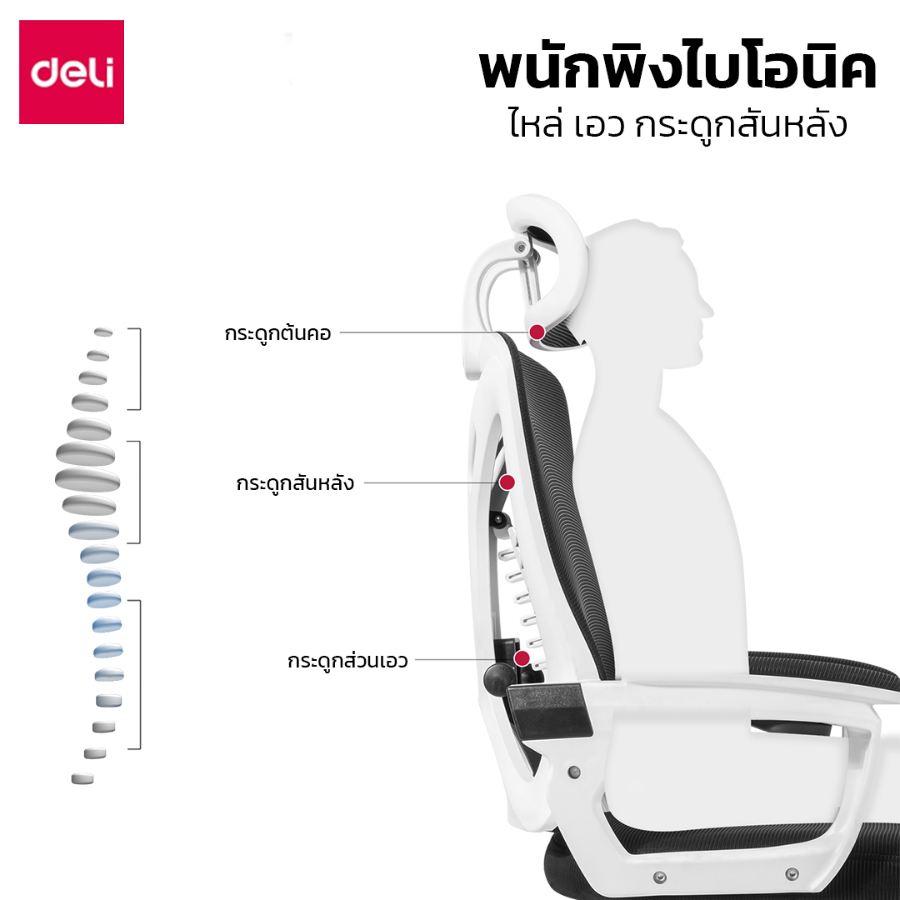 Deli เก้าอี้ทำงานเพื่อสุขภาพ Ergonomic เก้าอี้สีขาว เก้าอี้สีเทา เก้าอี้ทำงาน เก้าอี้สำนักงาน ที่นั่ง ออฟฟิศ มีหมอนรองเอวกระดูกงู ระบายอากาศดีเยี่ยม แป้นเหยียบแบบยืดหดได้ อุปกรณ์สำนักงาน Office Chair