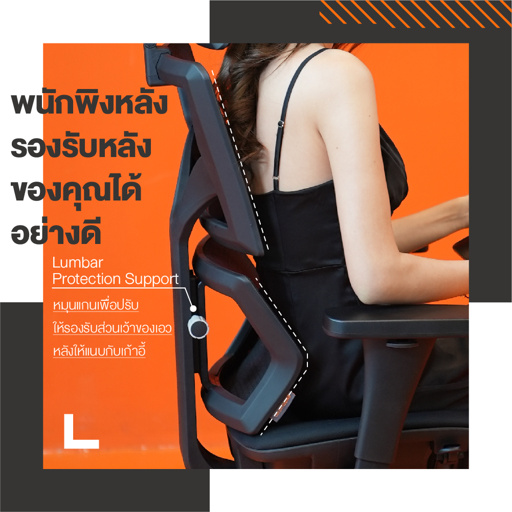 Ergotrend เก้าอี้เพื่อสุขภาพเออร์โกเทรน รุ่น Malmo Light เก้าอี้สีดำ ระบายอากาศดีเยี่ยม นุ่มสบาย ตามหลักสรีระศาสตร์ Ergonomic เก้าอี้พนักพิงสูง ลดอาการปวดเมื่อย เกรดคุณภาพ