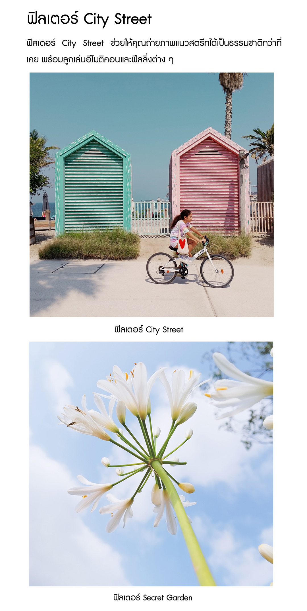 realme C53(6+128GB) ชาร์จไว SUPERVOOC 33W กล้อง AI 50MP Dynamic Ram ได้สูสุดถึง 12GB แบตเตอรี่5000mAh