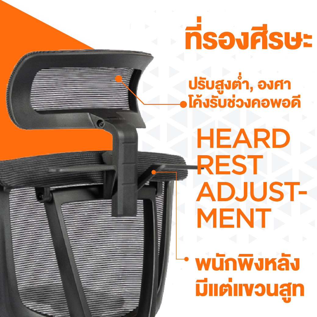 Ergotrend เก้าอี้เพื่อสุขภาพเออร์โกเทรน รุ่น DOLPH เก้าอี้สีดำ ระบายอากาศดีเยี่ยม นุ่มสบาย ตามหลักสรีระศาสตร์ Ergonomic เก้าอี้พนักพิงสูง ลดอาการปวดเมื่อย เกรดคุณภาพ