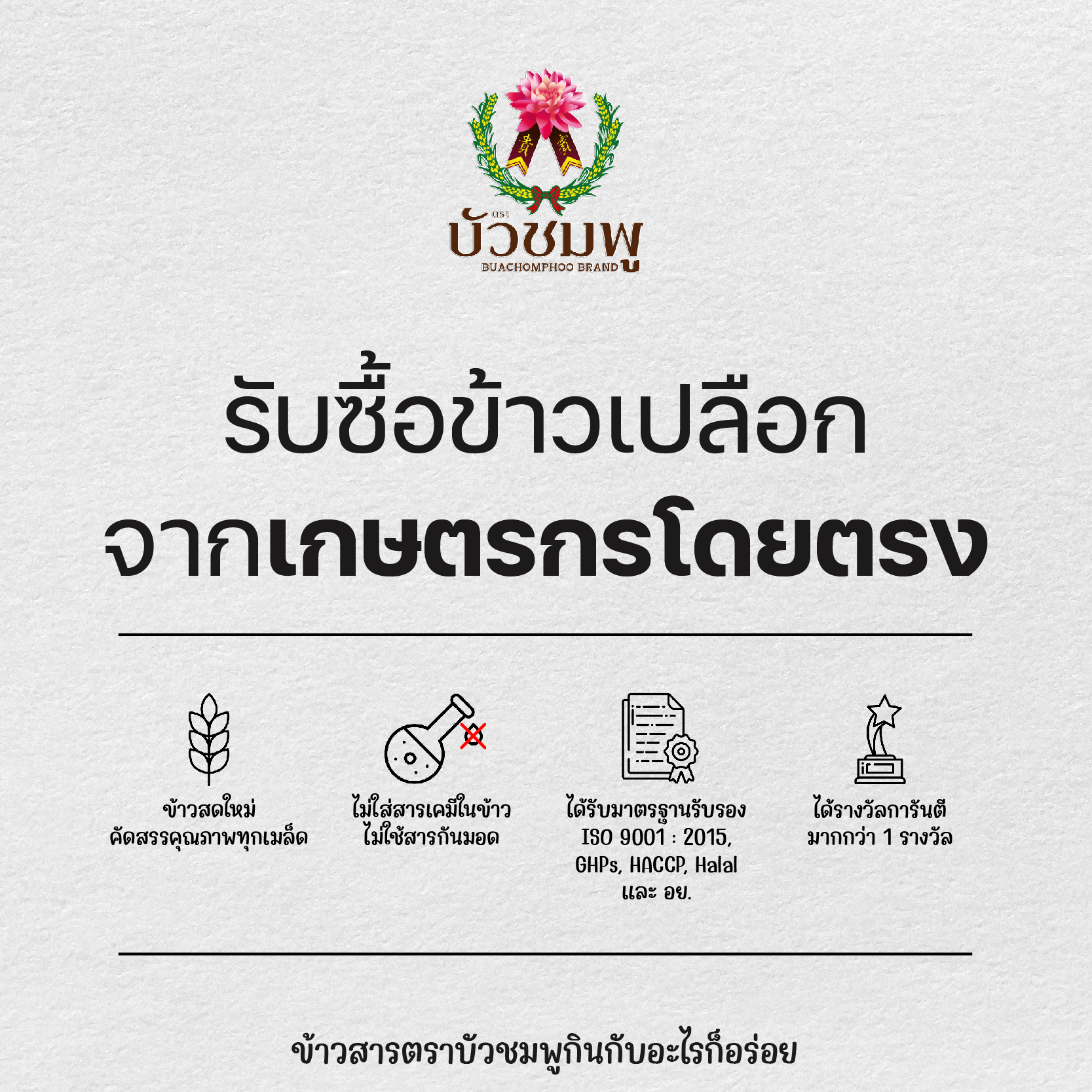 [ส่งฟรี] ตราบัวชมพู ข้าวกข 43 (ขนาด 5 กิโลกรัม) RD 43 RICE | Shopee ...