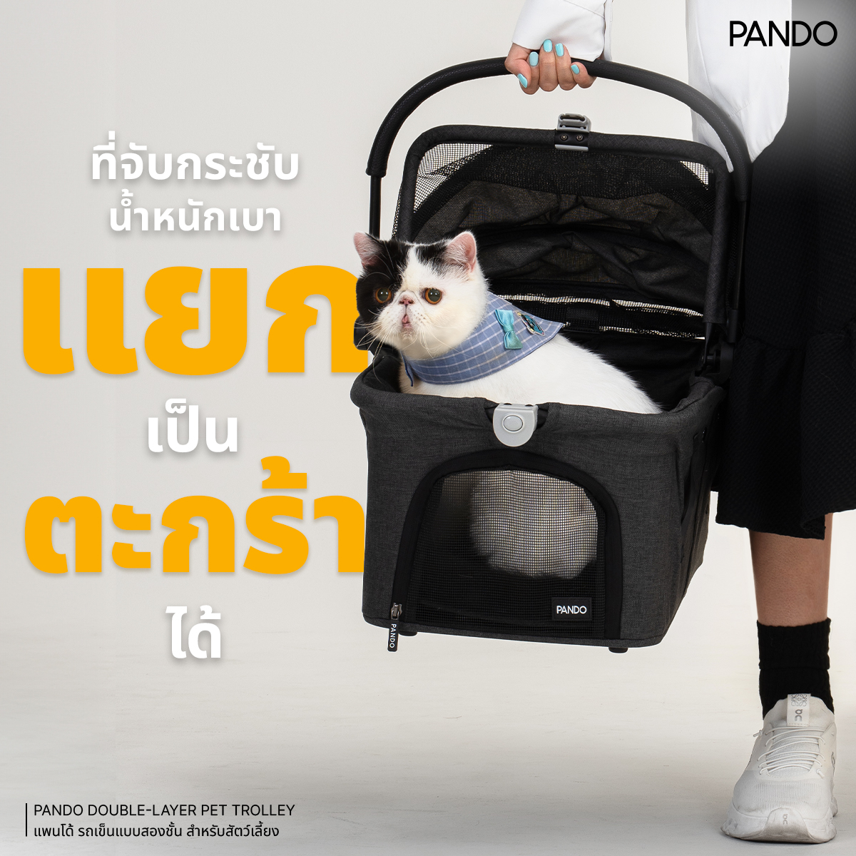 [ฟรีของแถม+โค้ดลด 250.-] Rabbit Selection Pet PANDO Double-Layer Pet ...