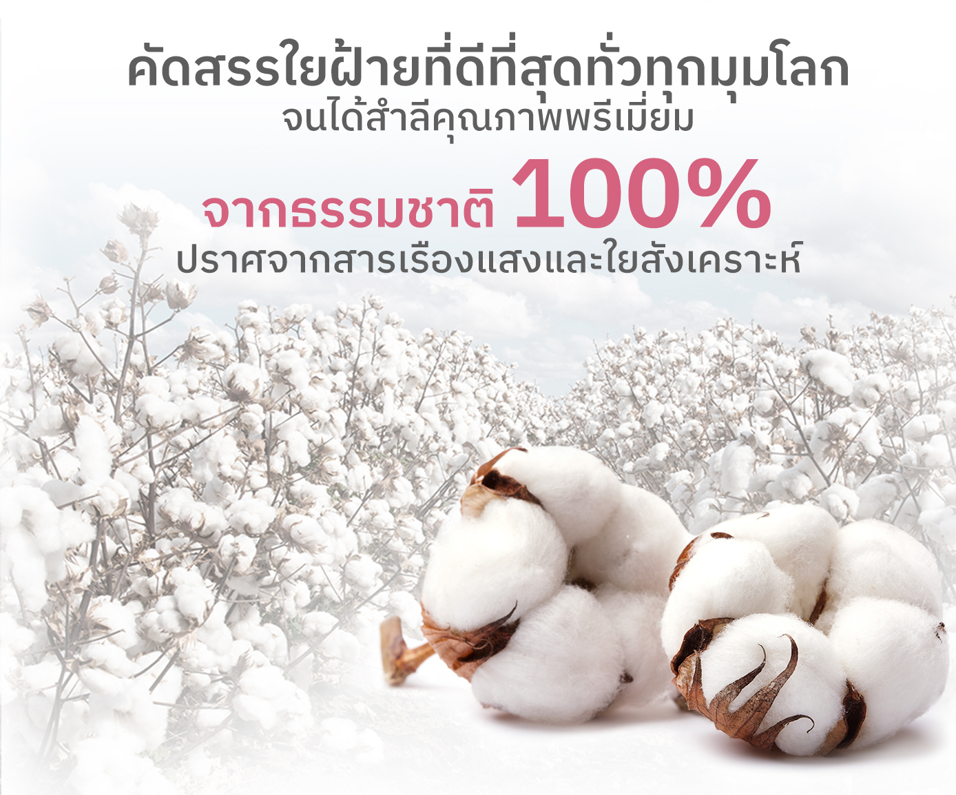Nu Formula Derma Facial Cotton 35 pcs. สำลีแผ่น เช็ดหน้า นู ฟอร์มูล่า ...