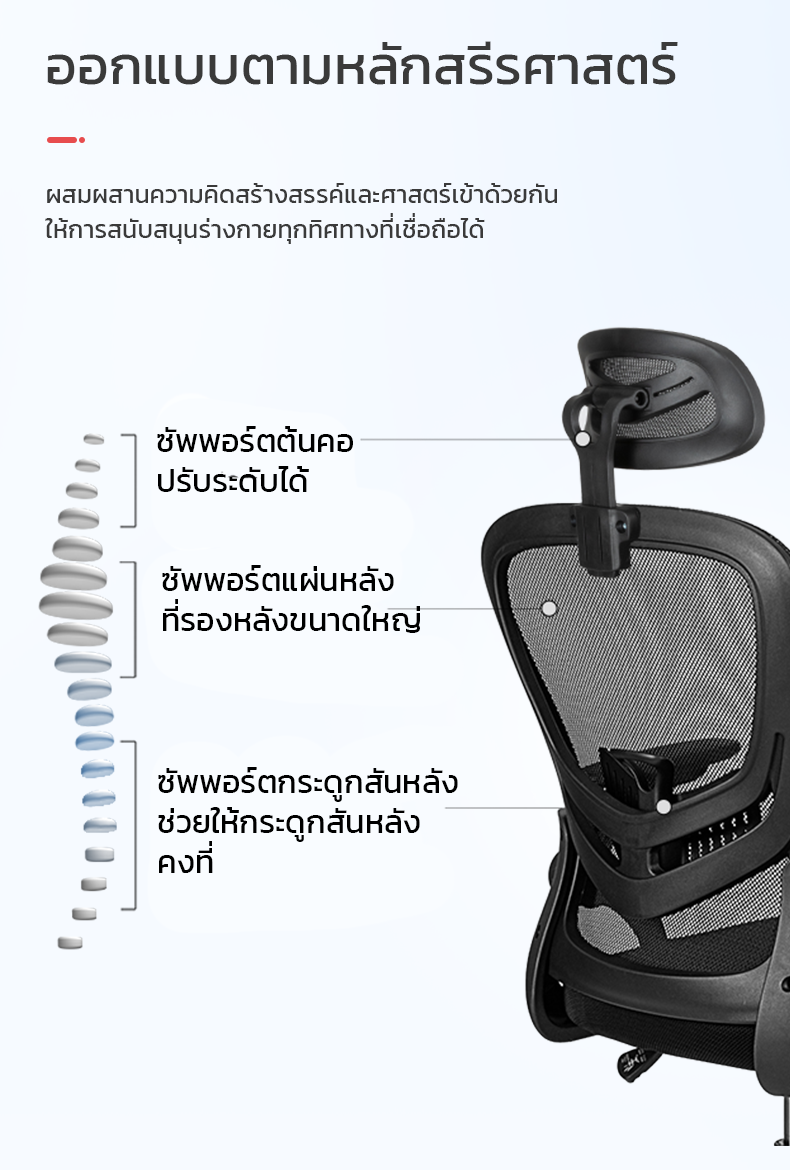 Deli เก้าอี้ออฟฟิศ เก้าอี้สำนักงาน ที่นั่งทำงาน เก้าอี้สีดำ ระบายอากาศดีเยี่ยม พนักพิงศรีษะ2D ที่รองเอวปรับได้ ลดการปวดคอ ไหล่ ergonomic Office Chair