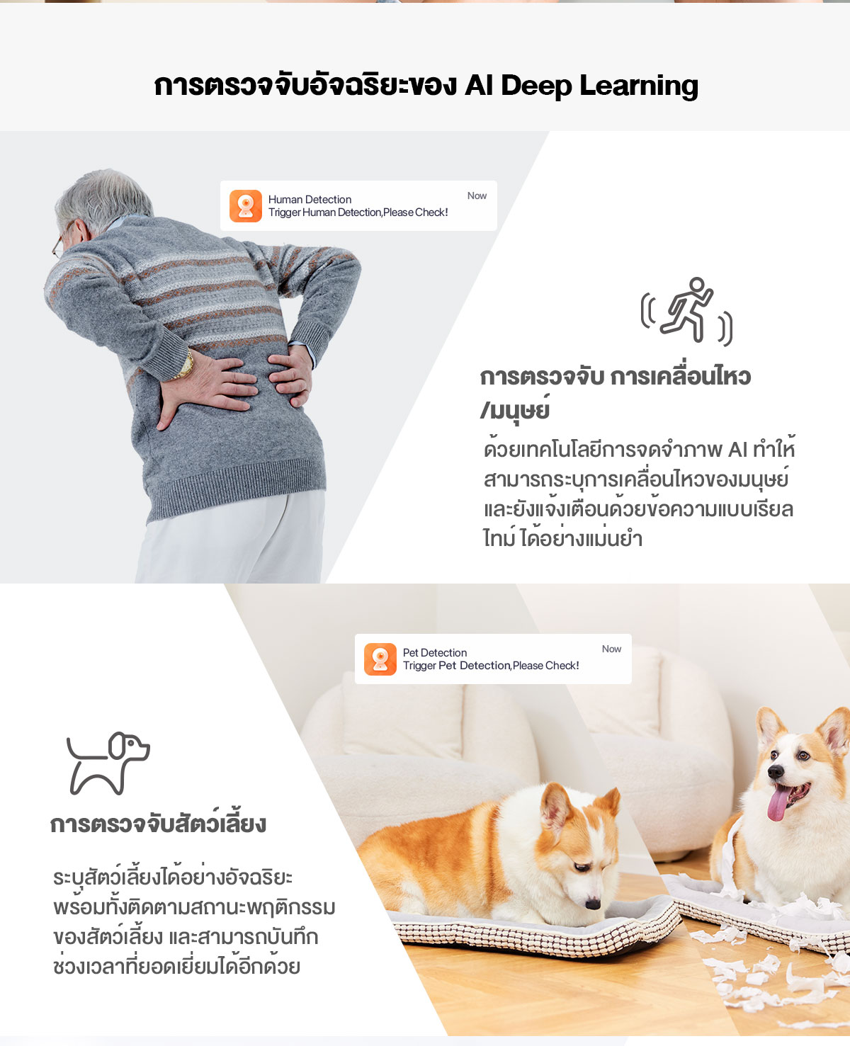 Tenda CP3 Pro 3MP IP Security Camera 3 ล้านพิกเซล กล้องไอพี กล้องวงจรปิด Night Vision Indoor CCTV