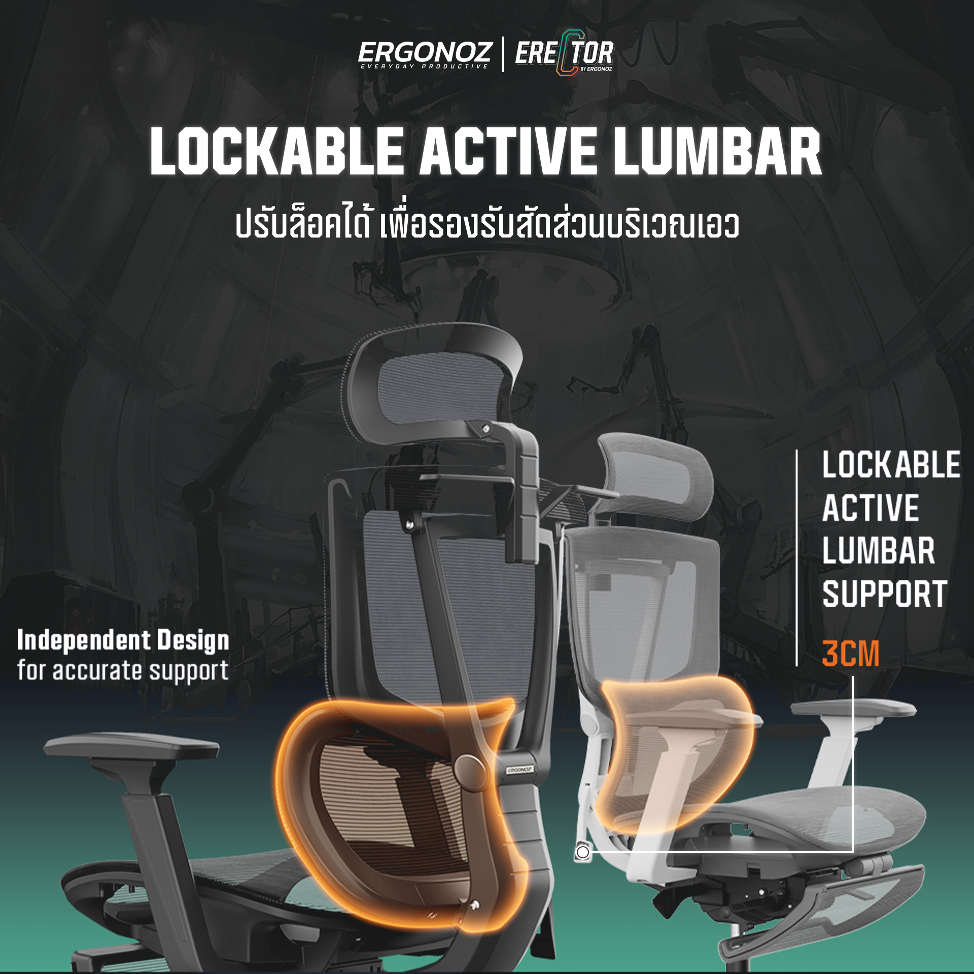 ERGONOZ รุ่น ERECTOR Professional เก้าอี้สีเทา เก้าอี้สีดำ Ergonomic chair เก้าอี้ทำงาน เก้าอี้คอมพิวเตอร์ เพื่อสุขภาพ รองรับน้ำหนักได้ 136 Kg.