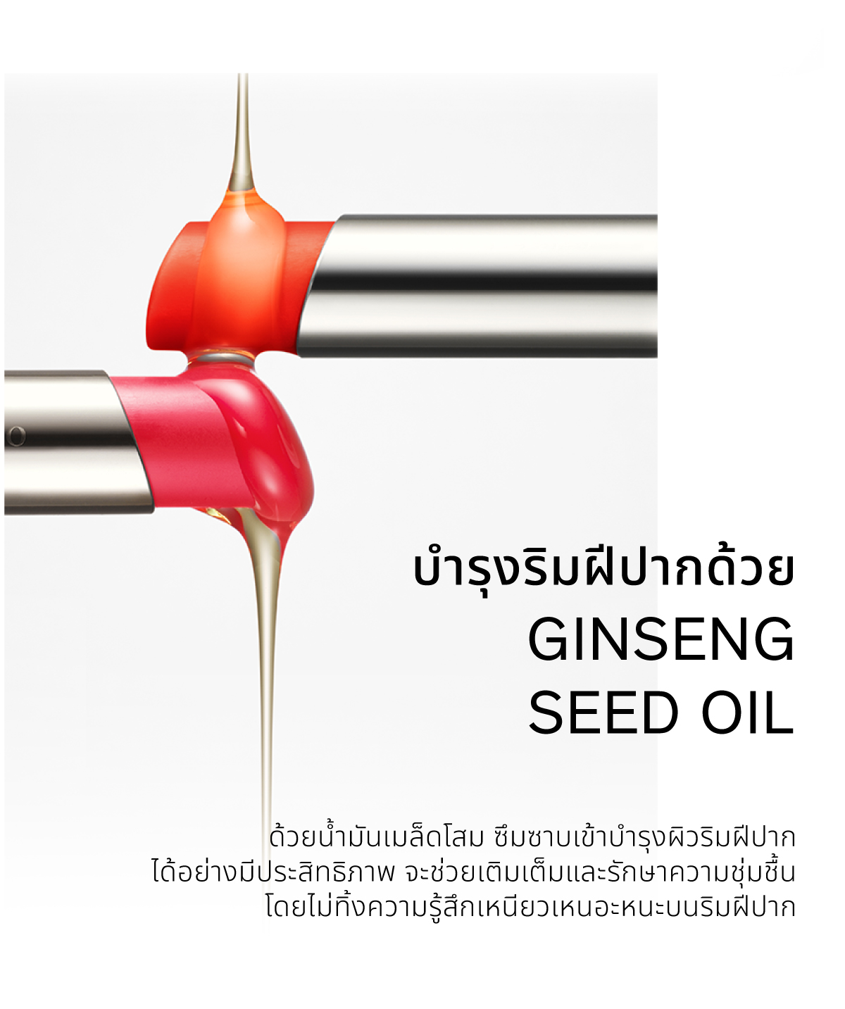 NEW! SULWHASOO Perfecting Lip Color 3g. โซลวาซู เพอร์เฟคติ้ง ลิป คัลเลอร์  ขนาด 3 กรัม | Shopee Thailand